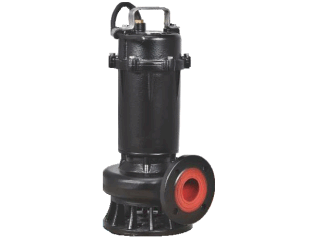 servicio005
